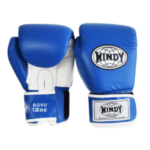 Classic Synthetic Leather Boxing Gloves - Blue - Windy Fight Gear