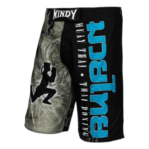Windy MMA shorts - Windy Fight Gear