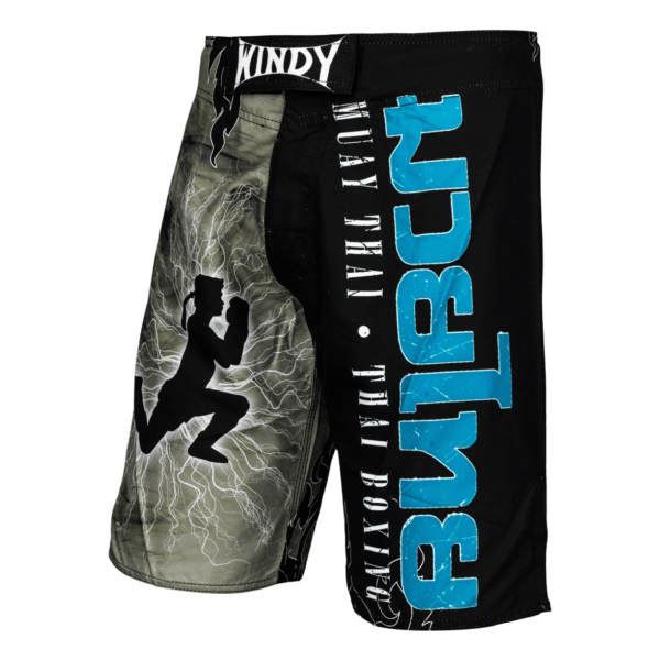 Windy MMA shorts - Windy Fight Gear