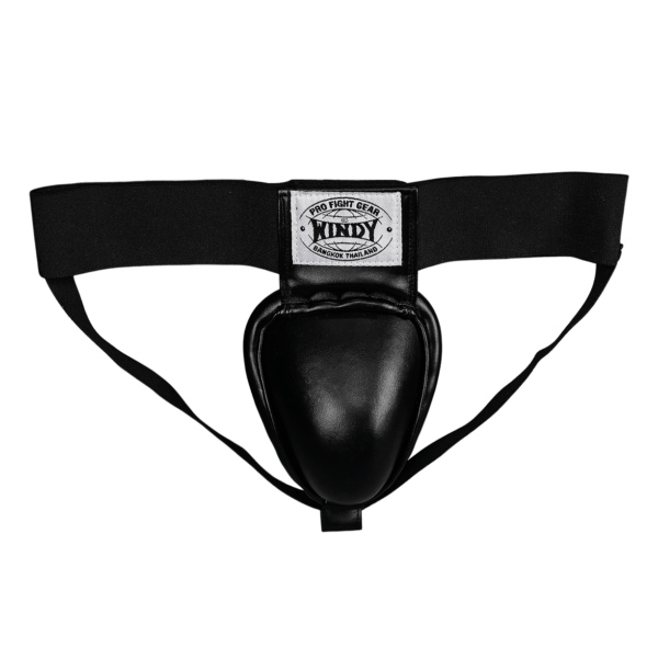 Windy Professional Cup Protector - Windy Fight Gear