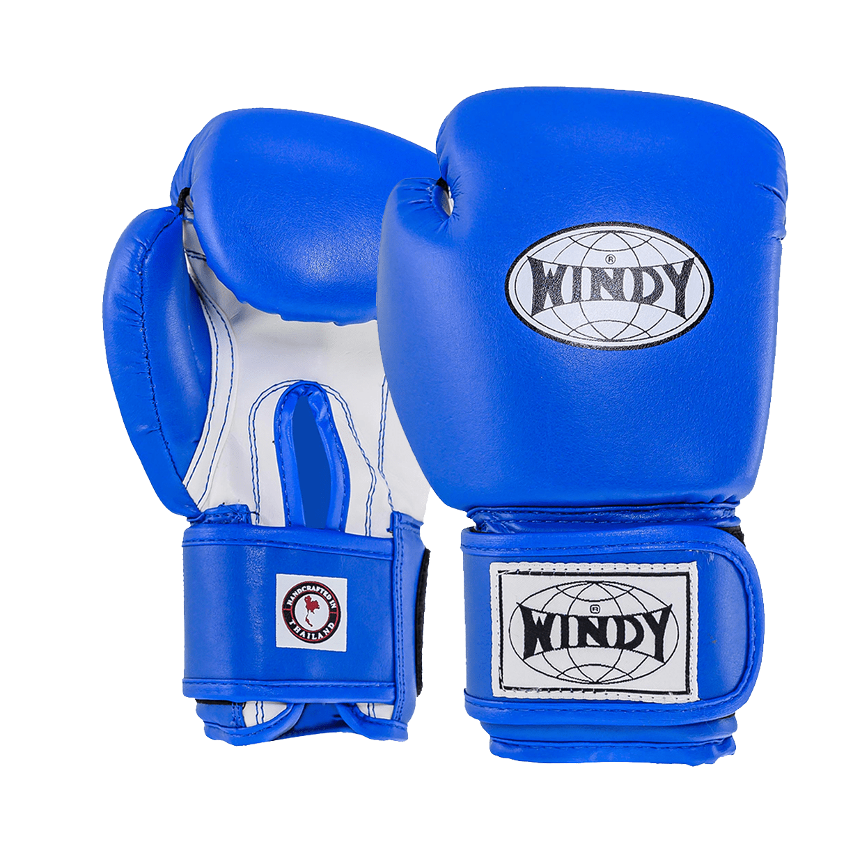 Kids Boxing Gloves - Blue - Windy Fight Gear