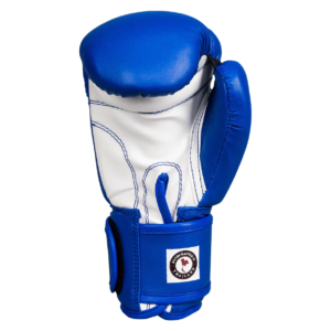 Kids Boxing Gloves - Blue