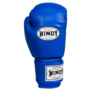 Kids Boxing Gloves - Blue